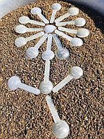 Морозник кавказький, корінь, мірна ложка 50 МГ !!! Упаковка 60 грам. Збір весна 2025р.Дрібнений Корінь!