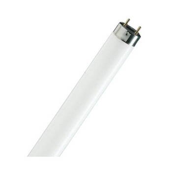 Лампа люмінесцентна Osram T8 Fluora L-30w/77 G13