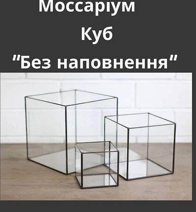 Моссаріум Куб Без наповнення 10*10*10 см .Порожній флораріум .Скляна ємність для флораріума, фото 1