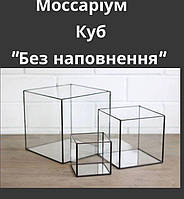 Моссарум Куб Без наполнения 10*10*10 см .Пустой флорариум .Стеклянная емкость для флорариума