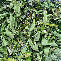 100 г лофант тибетский трава сушеная (Свежий урожай) лат. Agastache rugosa