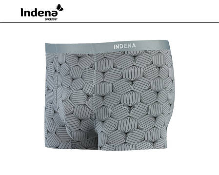 Чоловічі боксери безшовні Марка "INDENA" Арт.WH2502, фото 1