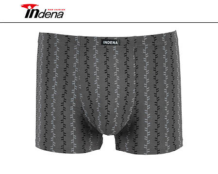 Чоловічі боксери (батал) з бамбука Марка "INDENA" Арт.205348, фото 1
