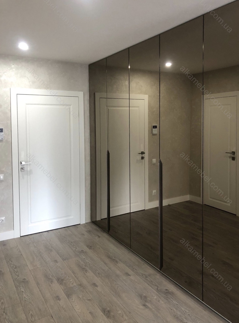 Шкаф распашной в прихожую с зеркальными дверями в профиле с черной ...