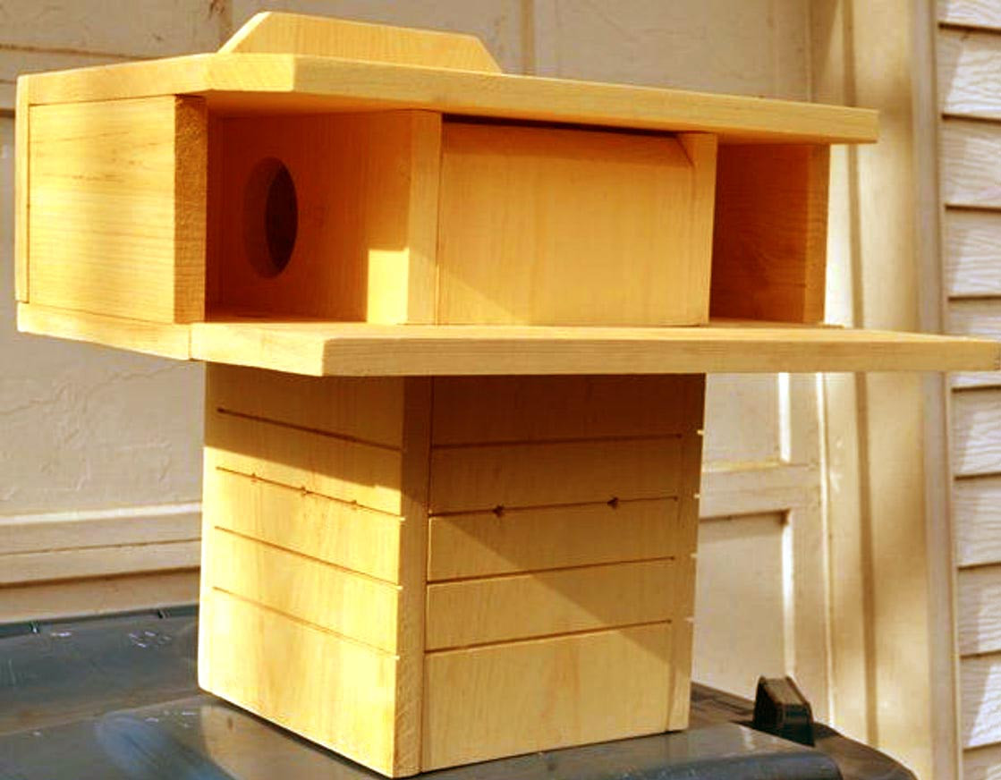 Будиночок для білок "Монго" ваніль