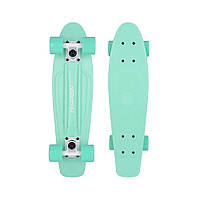 Пені Борд Tempish BUFFY NATURE/mint