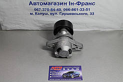 Ролик ременя генератора Renault Kangoo, Laguna, Megane, Dacia Logan, Nissan