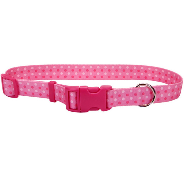 Нашийник для собак Coastal Pet Attire Styles 2.5х46-66 см (06921_PDT26)
