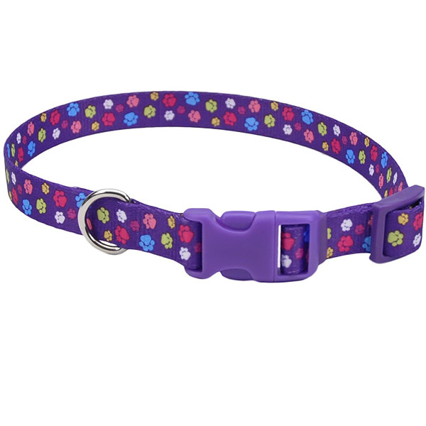 Нашийник для собак Coastal Pet Attire Styles 2.5х46-66 см (06921_SPW26)
