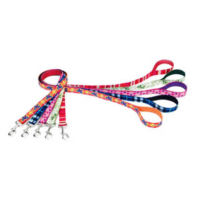 Coastal Pet Attire Weave поводок для собак, 1смХ1,2м