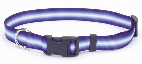 Coastal Trendz Graduated нашийник для собак, 1смХ30см