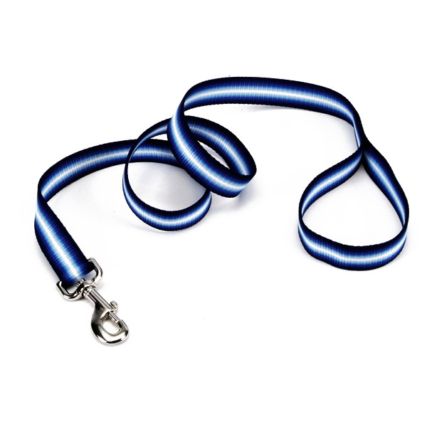 Coastal Trendz Graduated поводок для собак, 1смХ1,8м