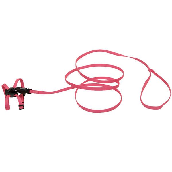 Coastal Li'l Pals Кostal ЛІТТЛ ПЕЛС шлея з повідцем для котів, 0.9х25см, фото 1