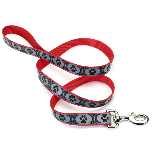 Coastal Lazer Brite Reflective Leash КОСТАЛ ЛАЗЕР БРАЙТ світловідбивний повідець для собак, 2.5 смХ1.8м, фото 1