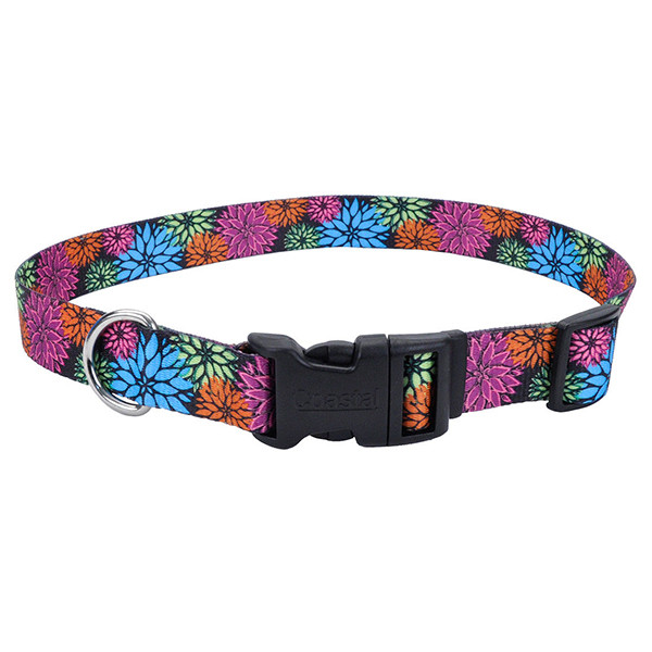 Нашийник для собак Coastal Pet Attire Styles 1х12-30 см (06321_WDF12)