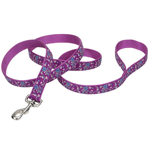Coastal Pet Attire Ribbon поводок для собак, 2,5смХ1,8м