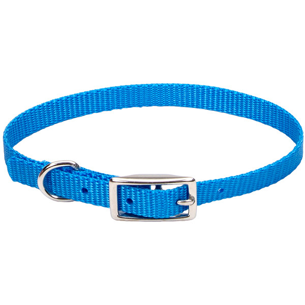 Нашийник для собак найлон Coastal Nylon Web 1х25см (00301_BLL10)