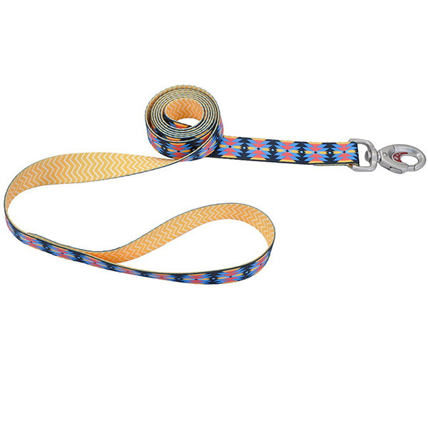 Coastal Sublime КОСТАЛ СУБЛІМ повідець для собак, 2.5 смХ1.8м, фото 1