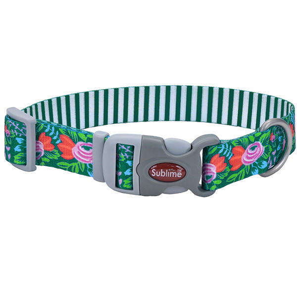 Coastal Sublime КОСТАЛ СУБЛІМ нашийник для собак, 2.5x46 см, фото 1