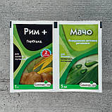 Гербіцид Рим 1 г + Мачо 5 мл Сімейний Сад, фото 3