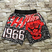 Красные баскетбольные шорты Чикаго Буллз Mitchell & Ness NBA Big Face команда Chicago Bulls шорты