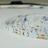 Світлодіодна стрічка BIOM Professional BPS-G3-12-2835-60-NW-20 нейтральний білий, негерметична, 1м, фото 2