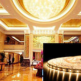 Світлодіодна стрічка BIOM Professional BPS-G3-12-2835-60-WW-20 теплий білий, негерметична, 1м, фото 2