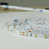 Світлодіодна стрічка BIOM Professional BPS-G3-12-2835-60-WW-20 теплий білий, негерметична, 1м, фото 4