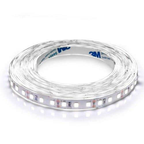Світлодіодна стрічка BIOM Professional BPS-G3-12-2835-120-CW-20 білий, негерметична, 1м, фото 1