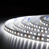 Світлодіодна стрічка BIOM Professional BPS-G3-12-2835-120-CW-20 білий, негерметична, 1м, фото 2