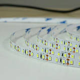 Світлодіодна стрічка BIOM Professional BPS-G3-12-2835-120-CW-20 білий, негерметична, 1м, фото 3