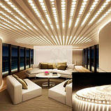 Світлодіодна стрічка BIOM Professional BPS-G3-12-2835-120-NW-20 нейтральний білий, негерметична, 1м, фото 2