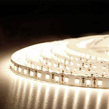 Світлодіодна стрічка BIOM Professional BPS-G3-12-2835-120-NW-20 нейтральний білий, негерметична, 1м, фото 3