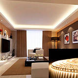 Світлодіодна стрічка BIOM Professional BPS-G3-12-2835-120-WW-20 теплий білий, негерметична, 1м, фото 2