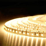 Світлодіодна стрічка BIOM Professional BPS-G3-12-2835-120-WW-20 теплий білий, негерметична, 1м, фото 3