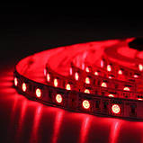 Світлодіодна стрічка BIOM Professional BPS-G3-12-5050-60-RGB-20, негерметична, 1м, фото 6