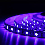 Світлодіодна стрічка BIOM Professional BPS-G3-12-5050-60-RGB-20, негерметична, 1м, фото 8