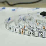 Світлодіодна стрічка BIOM Professional BPS-G3-12-5050-60-RGB-20, негерметична, 1м, фото 9