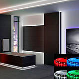 Світлодіодна стрічка BIOM Professional BPS-G3-12-5050-60-RGBW-20, негерметична, 1м, фото 2