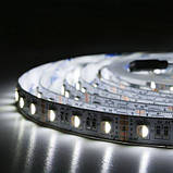 Світлодіодна стрічка BIOM Professional BPS-G3-12-5050-60-RGBW-20, негерметична, 1м, фото 3