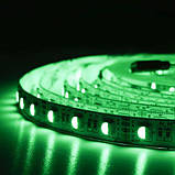 Світлодіодна стрічка BIOM Professional BPS-G3-12-5050-60-RGBW-20, негерметична, 1м, фото 4