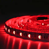 Світлодіодна стрічка BIOM Professional BPS-G3-12-5050-60-RGBW-20, негерметична, 1м, фото 5