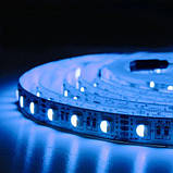 Світлодіодна стрічка BIOM Professional BPS-G3-12-5050-60-RGBW-20, негерметична, 1м, фото 6