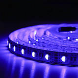 Світлодіодна стрічка BIOM Professional BPS-G3-12-5050-60-RGBW-20, негерметична, 1м, фото 7