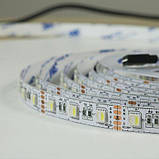 Світлодіодна стрічка BIOM Professional BPS-G3-12-5050-60-RGBW-20, негерметична, 1м, фото 8