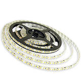 Світлодіодна стрічка OEM ST-12-2835-120-G-65 зелена, герметична, 1 м, фото 3