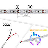 Світлодіодна стрічка OEM ST-12-2835-120-G-20 зелена, негерметична, 1м, фото 3