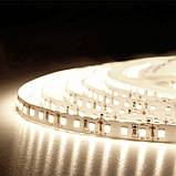 Світлодіодна стрічка BIOM Professional BPS-G3-24-2835-120-NW-20 нейтральний білий, негерметична, 1м, фото 3