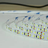 Світлодіодна стрічка BIOM Professional BPS-G3-24-2835-120-NW-20 нейтральний білий, негерметична, 1м, фото 4