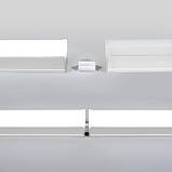 Світильник світлодіодний Biom T8 Z-600-12W-PL 6200K AC220 пластик, фото 4